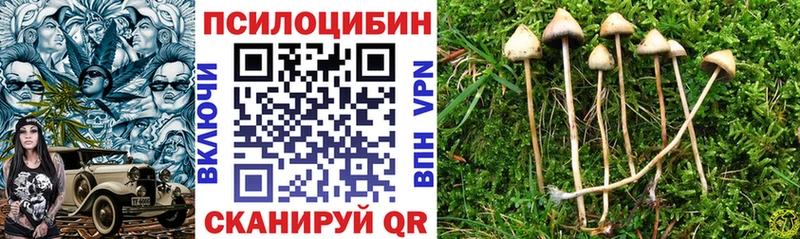 Псилоцибиновые грибы прущие грибы  Хотьково 